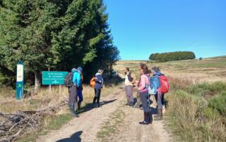 Tourbière de la Couleyre_Sagnes-et-Goudoulet - ©OTMA_I.Bouit