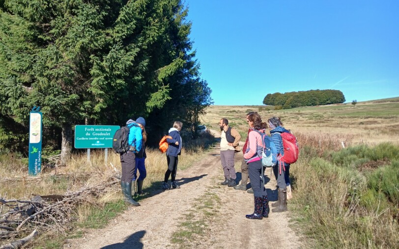 Tourbière de la Couleyre