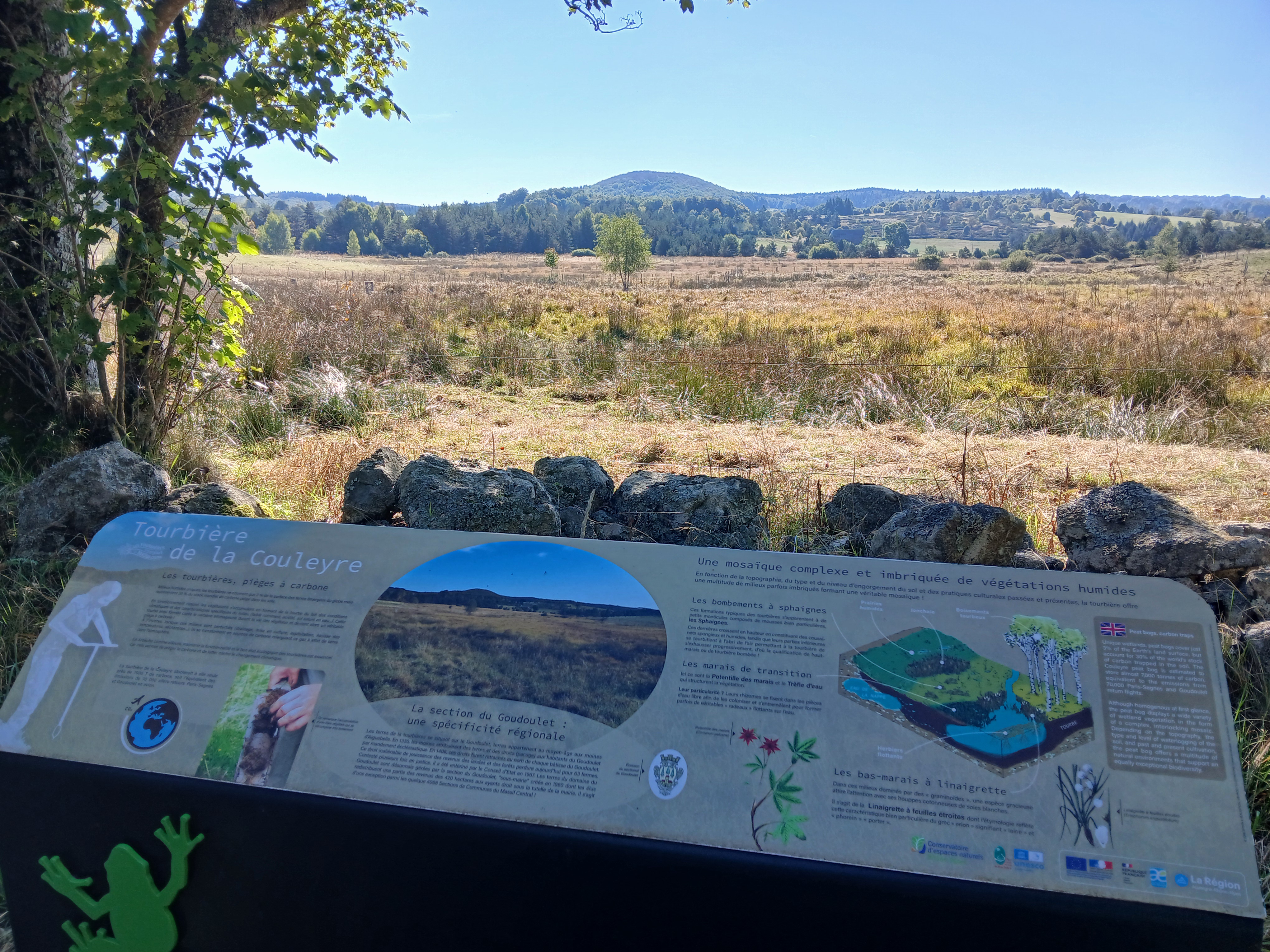 Tourbière de la Couleyre_Sagnes-et-Goudoulet