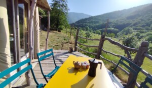 Le petit déjeuner sur la terrasse