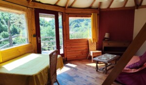 salon salle à manger ouverture sur terrasse