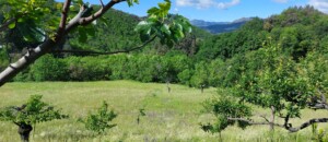 la nature environnante