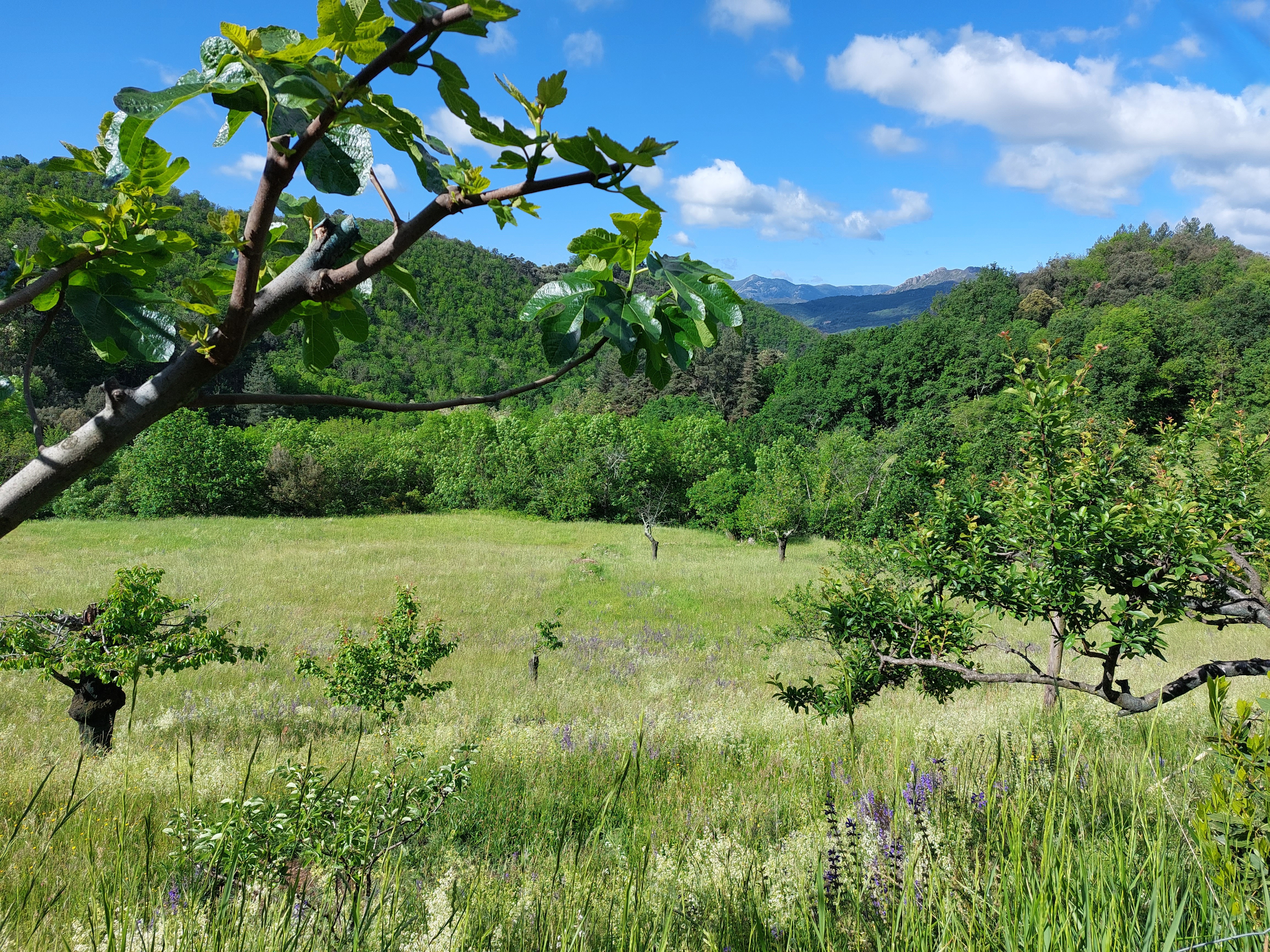 la nature environnante