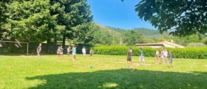 animations dans terrain de jeux