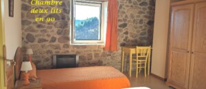 Les jonquilles_Meyras