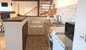 Les jonquilles_Meyras