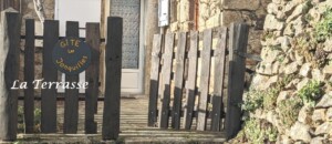 Les jonquilles_Meyras