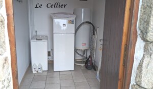 Les jonquilles_Meyras