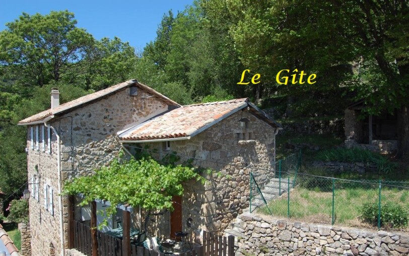 Les jonquilles_Meyras