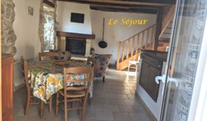 Les jonquilles_Meyras