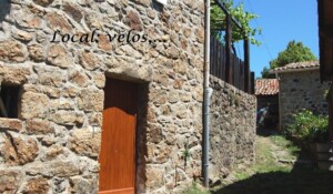 Les jonquilles_Meyras