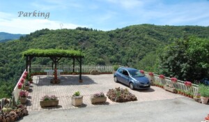 Les jonquilles_Meyras