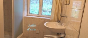 Les jonquilles_Meyras