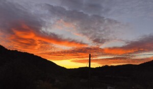 Très beau levé de soleil