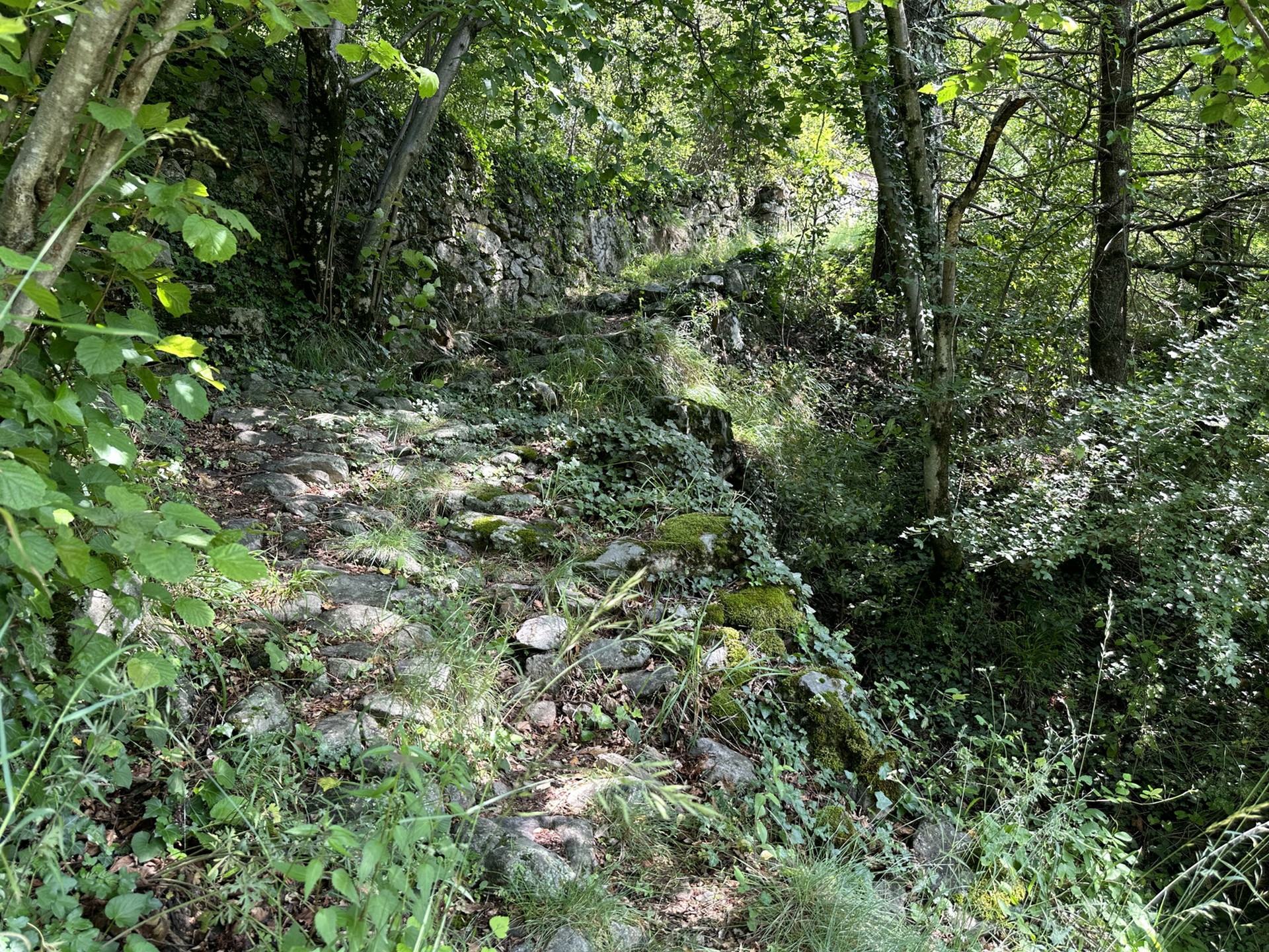 Sentier botanique de Barnas en Ardèche