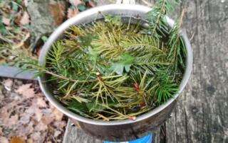 Trucs et astuces de trappeurs cévénols_Jaujac - ©pnrma