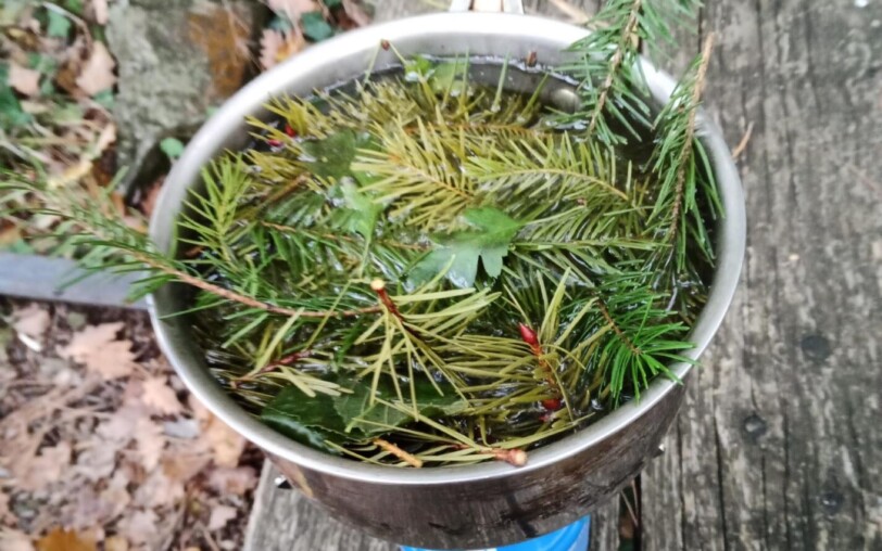 Trucs et astuces de trappeurs cévénols_Jaujac