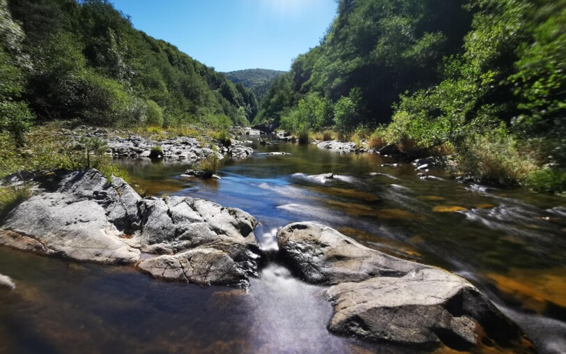 Les sources de la Loire_Sainte-Eulalie