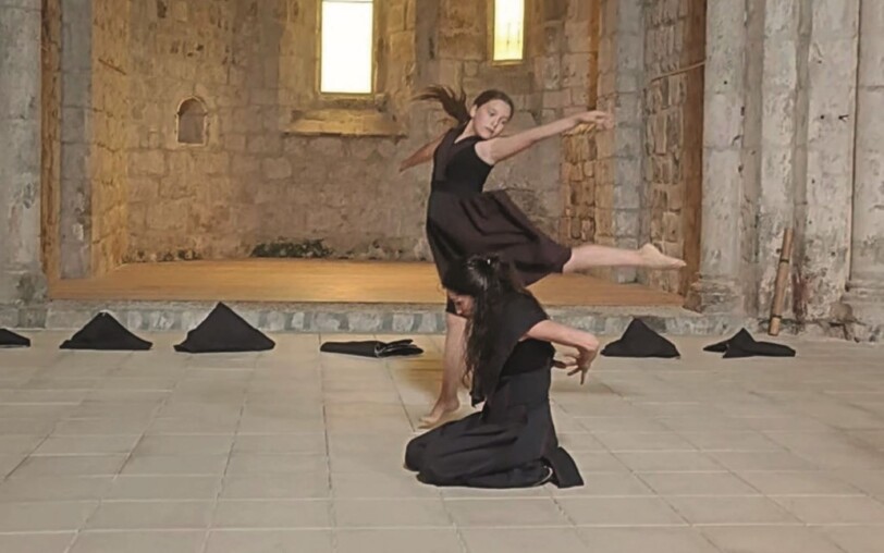 Spectacle danse : pour la beauté du geste