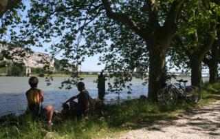 fleuve-rhone-viviers - ©Office de Tourisme du Rhône aux Gorges de l'Ardèche
