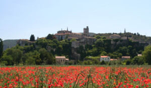 Office de Tourisme Gorges de l'Ardèche - Pont d'Arc - Bureau de Viviers