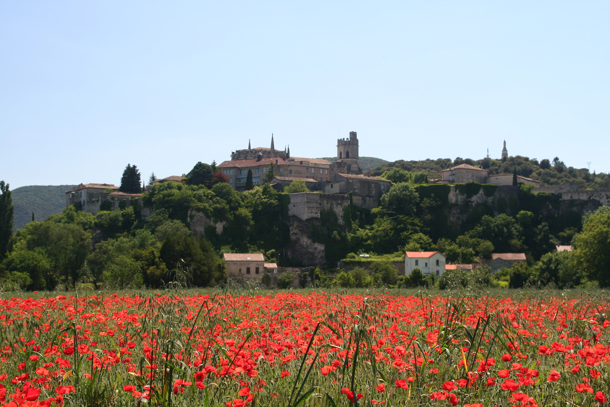Office de Tourisme Gorges de l'Ardèche - Pont d'Arc - Bureau de Viviers