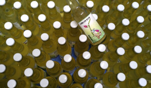 3.Ginger beer vue de haut