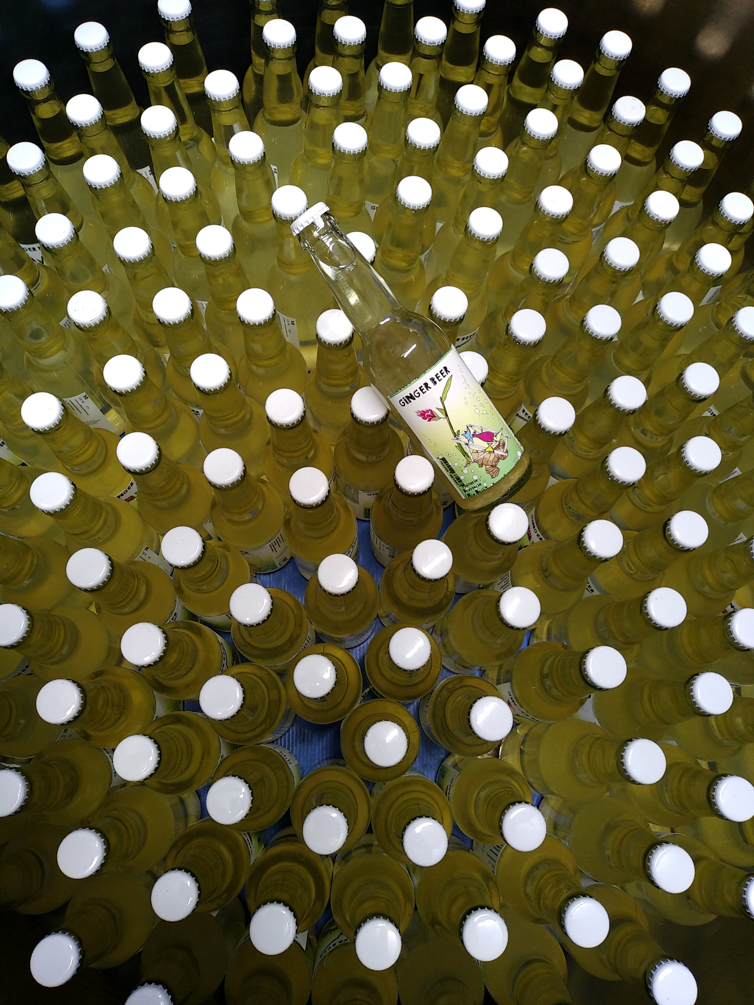 3.Ginger beer vue de haut