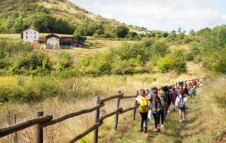 Site de la Boissine - ©Paléodécouvertes
