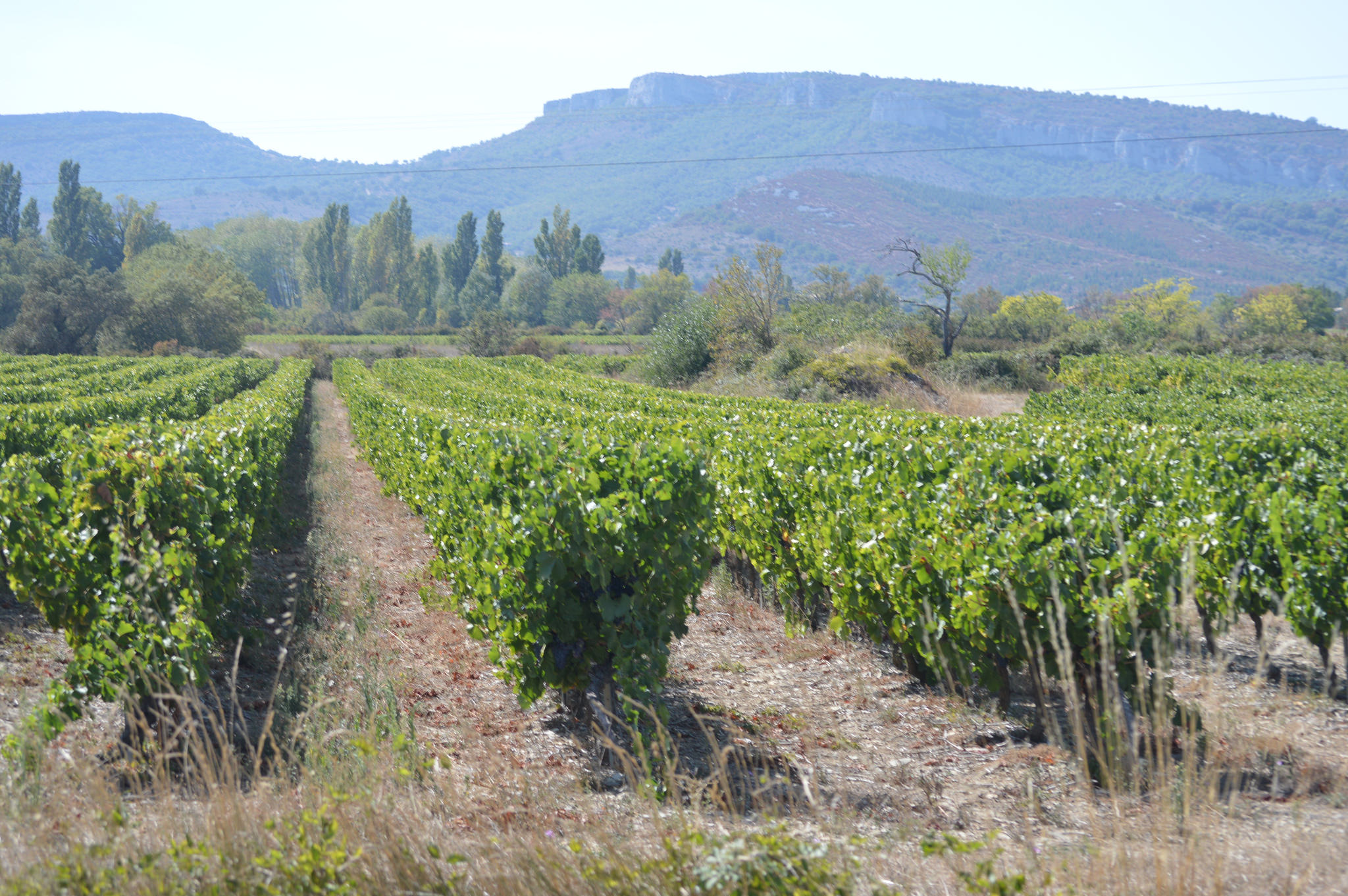 massif-de-la-dent-de-rez-gras