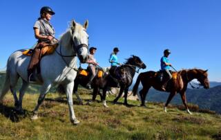 Centre équestre et école d’équitation L’Eperon - ©Mathieu Dupont