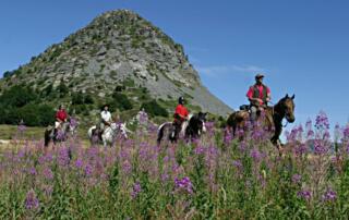 Centre équestre et école d’équitation L’Eperon - ©Jean-Paul Chabanis