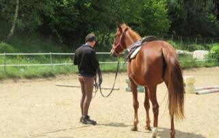 Centre équestre et école d’équitation L’Eperon - ©Jean-Paul Chabanis