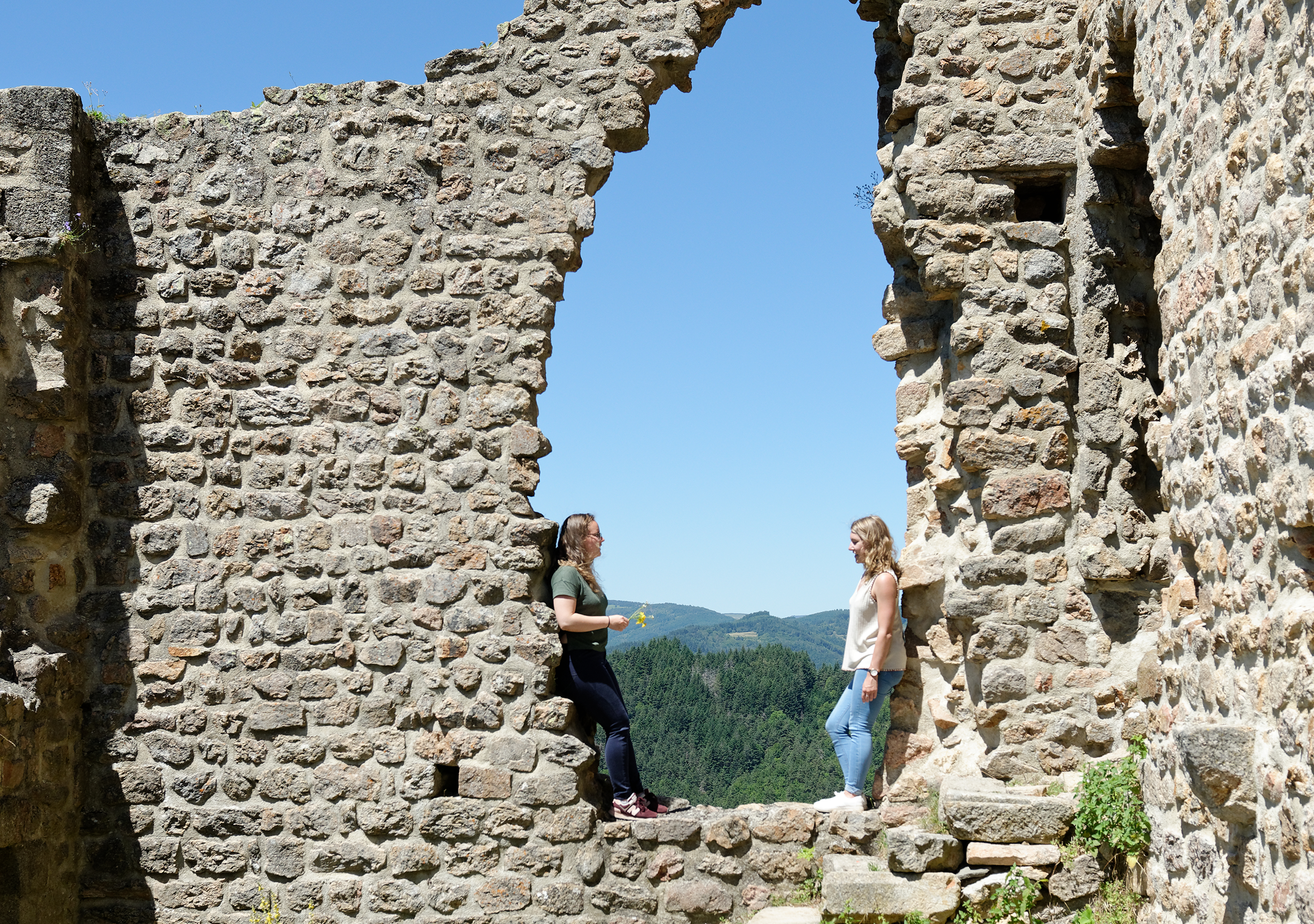 Les vestiges du Château