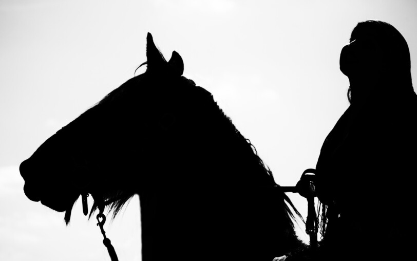 Spectacle équestre du Ranch de la Grande Vallée_Montpezat-sous-Bauzon