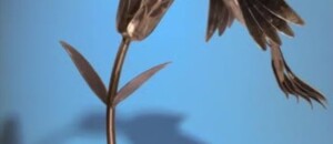 Blou Art, Kunsthandwerksmesse