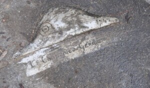 Chapeau du Gendarme à Laurac