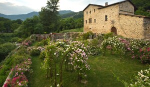 Montpezat sous Bauzon - roseraie du Prieuré de Clastres ©S.BUGNON