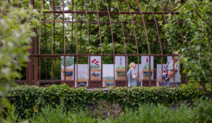 Gärten des Maison du Parc_Jaujac