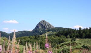 Geführte Wanderung zu den Vulkanen der Monts d’Ardèche mit einem Esel_Burzet