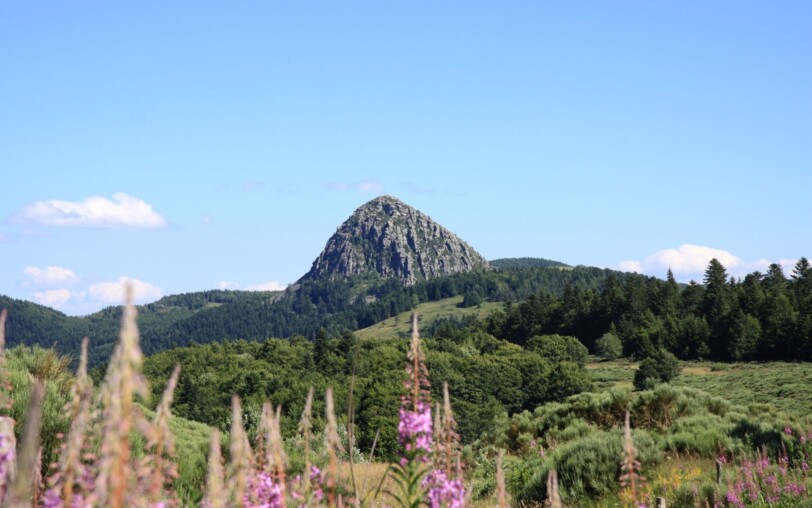 Geführte Wanderung zu den Vulkanen der Monts d’Ardèche mit einem Esel