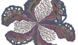 Dessin stylo bille