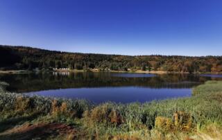 Lac de Coucouron