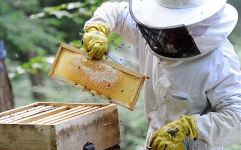 Introduction to Bee-keeping_Jaujac