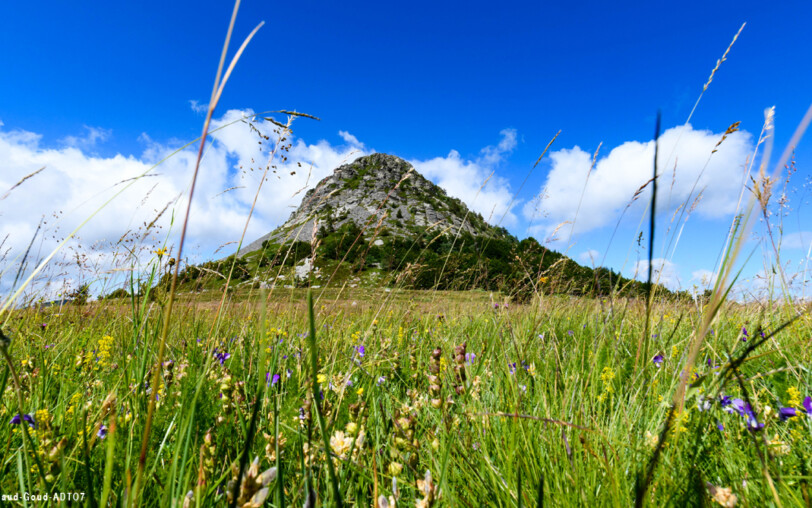 Mont Gerbier de Jonc