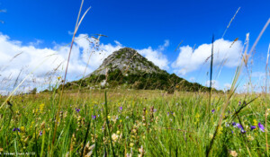 Mont Gerbier des Joncs 2