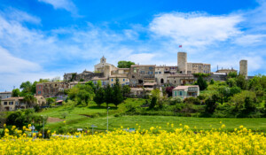 Saint-Vincent-de-Barrès: a village with outstanding character_Saint-Vincent-de-Barrès