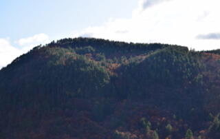 Aizac - volcan d'Aizac - ©pnrma