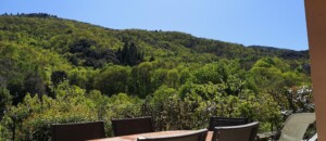 Albizia - (gîtes de Neyrac-les-Bains)_Meyras