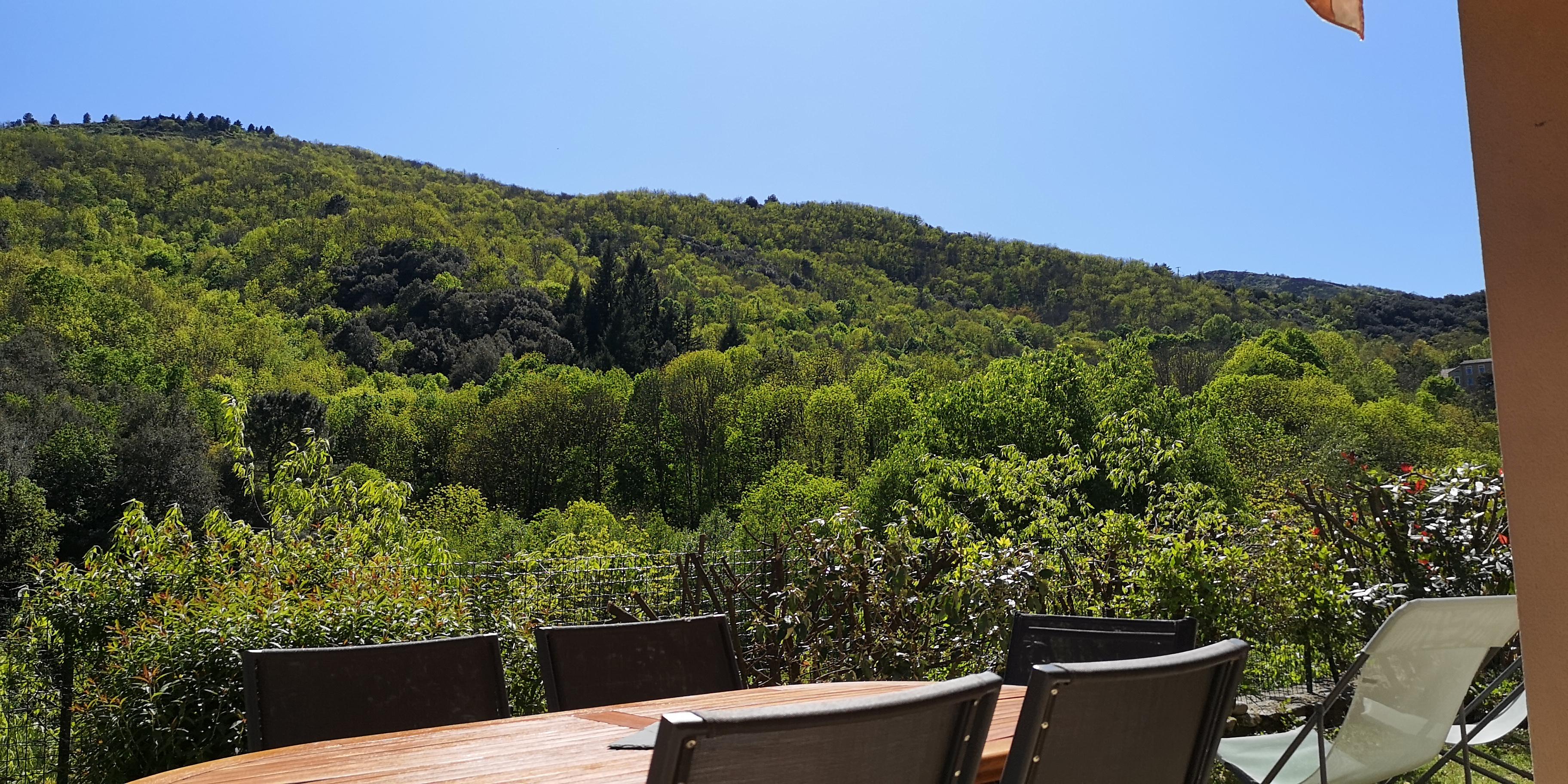 Albizia - (gîtes de Neyrac-les-Bains)_Meyras